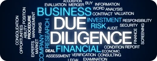 Due Diligence